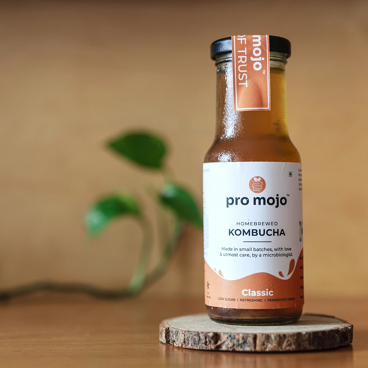classic kombucha online Bangalore
