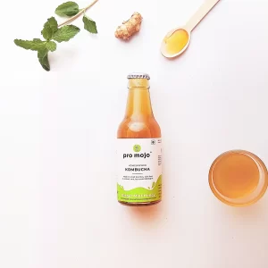 Ginger Mint Kombucha