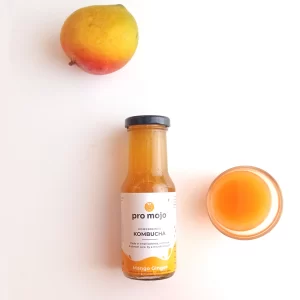 mango kombucha Bangalore